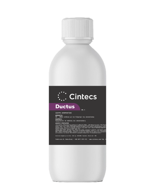 Ductus